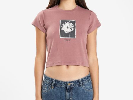 Dark Cosmos Mini Tee - Burlwood Cheap