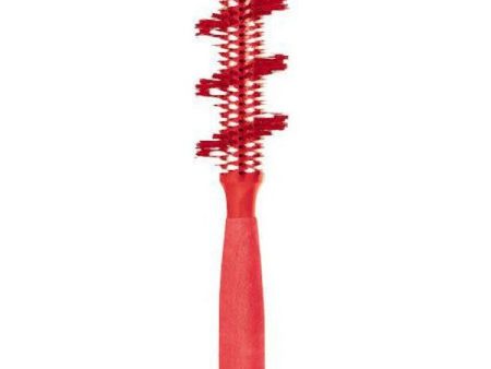 Hair Accessories 2 T Colored 1 00% Na  Bo Brush 3 Red Cheap